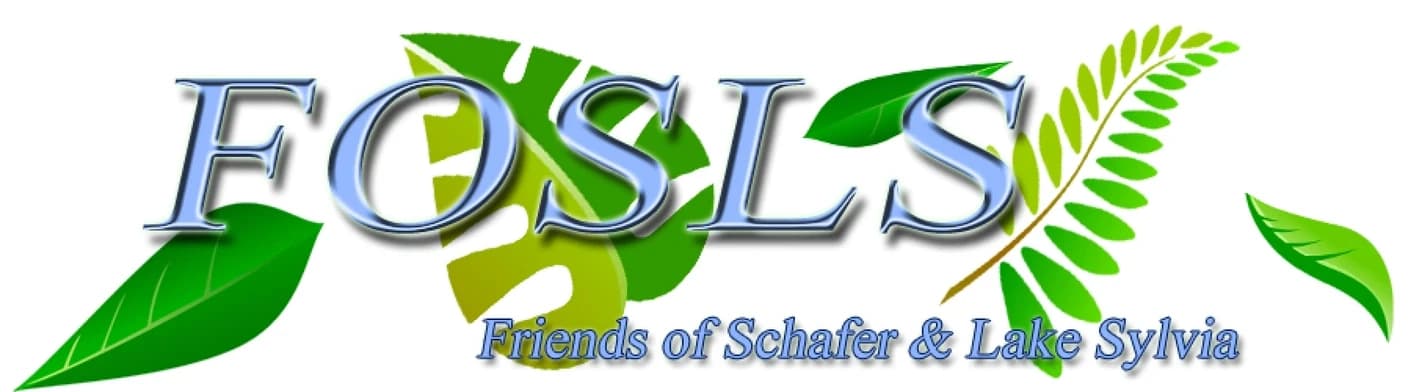 Friends of Mt. Lake Sylvia
