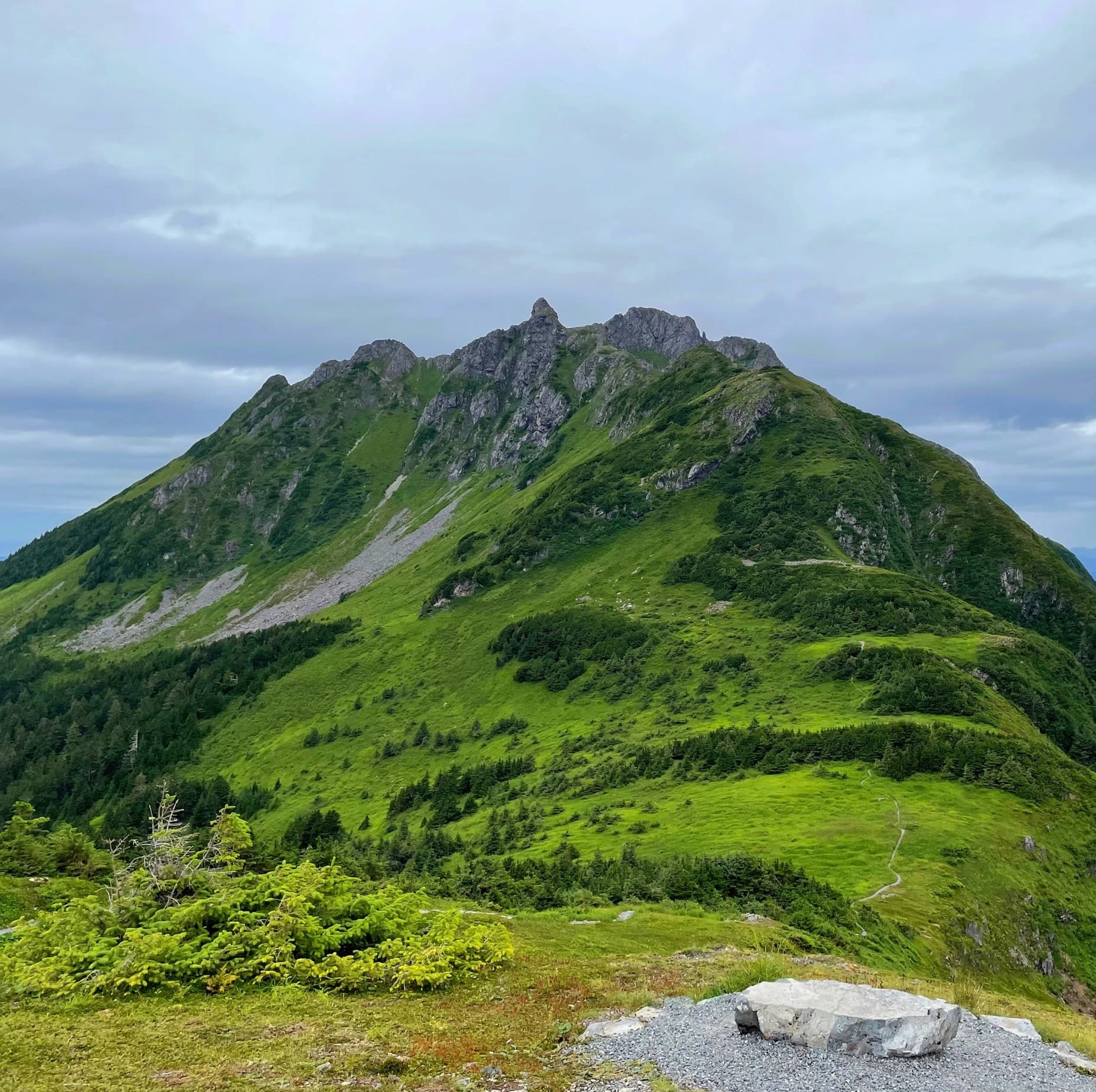 Alpine Adventure Run