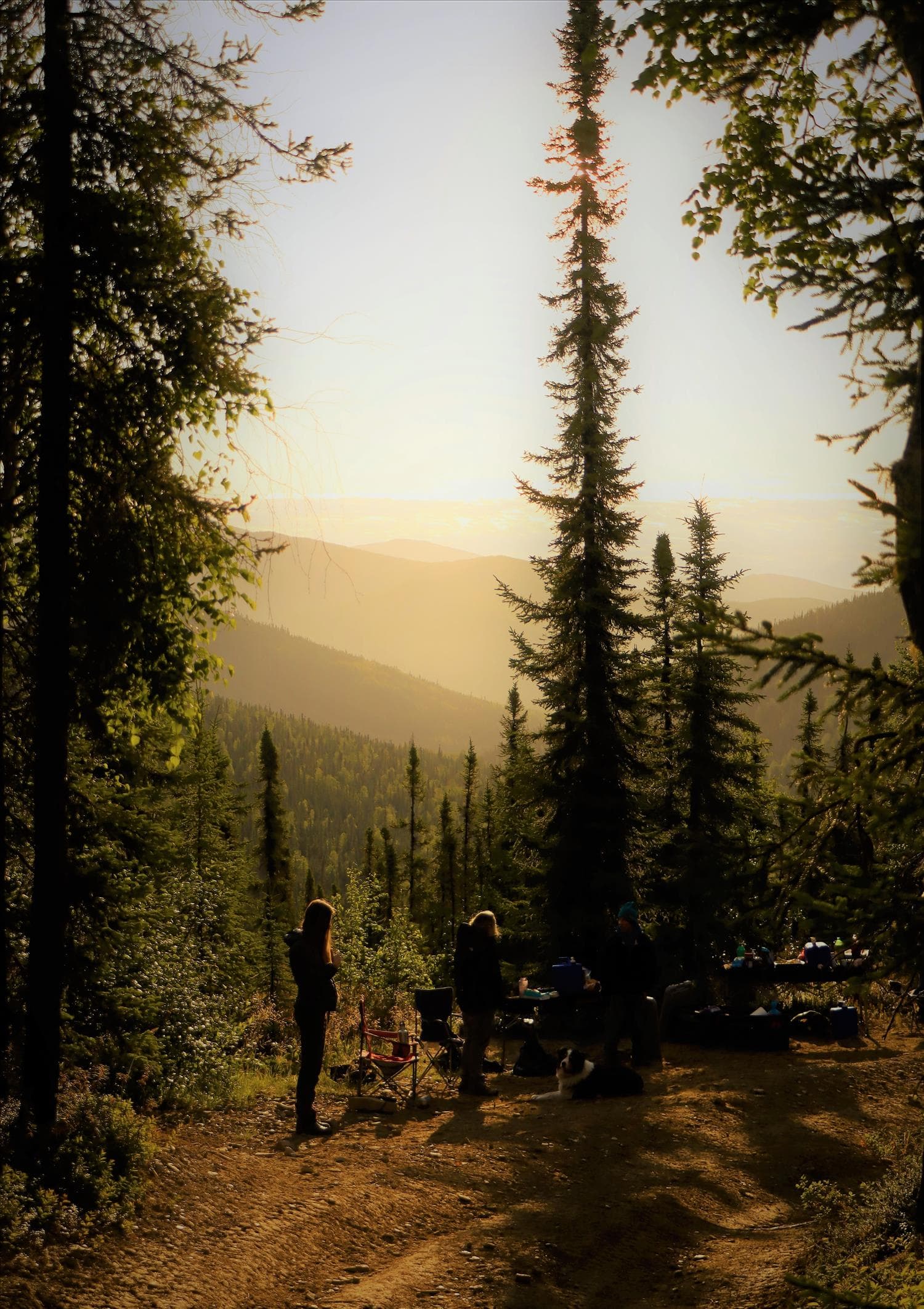 Drew's Angel Creek 50K