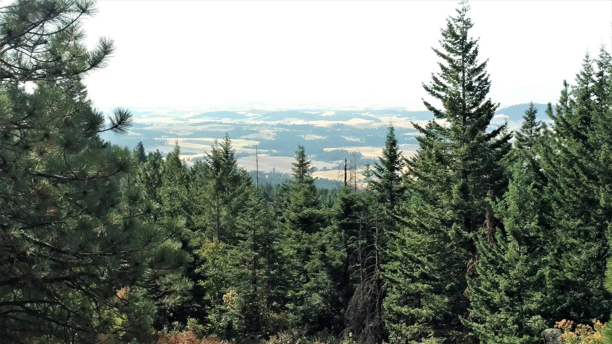 Moscow Mountain Madness