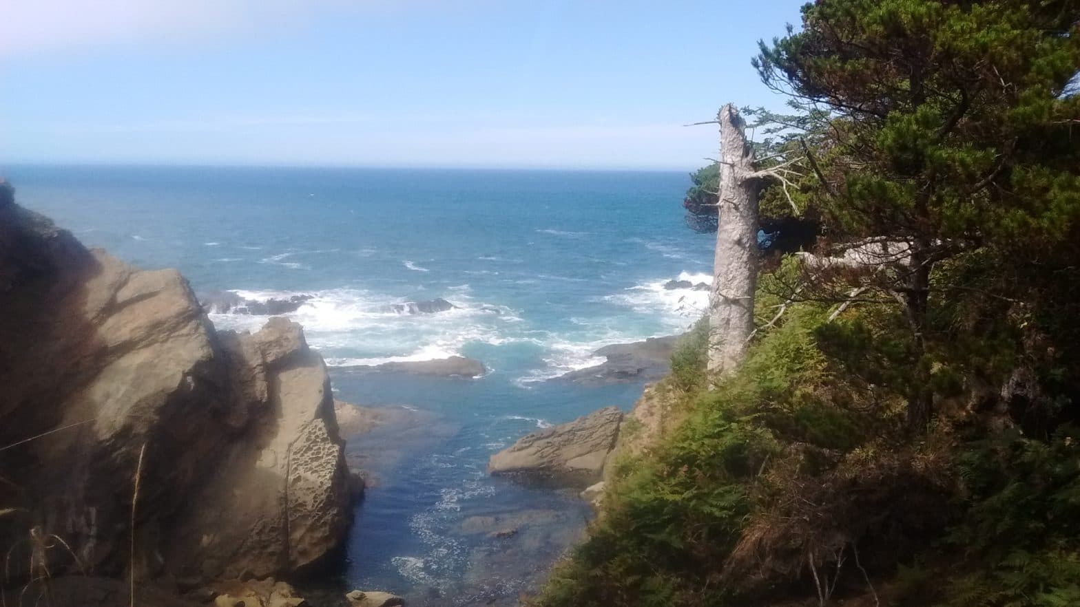 Sunset Bay Trail Runs