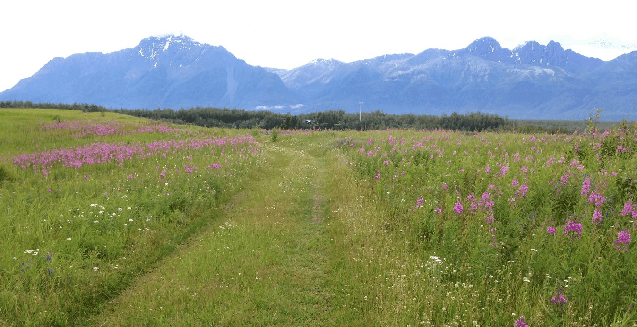 AKtive's The Lakes Trail Fest