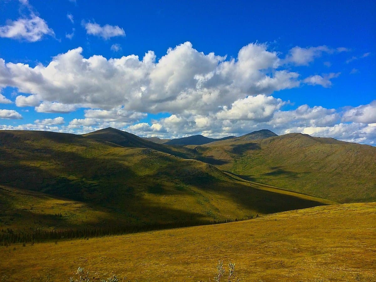 Alaska Endurance Trail Run