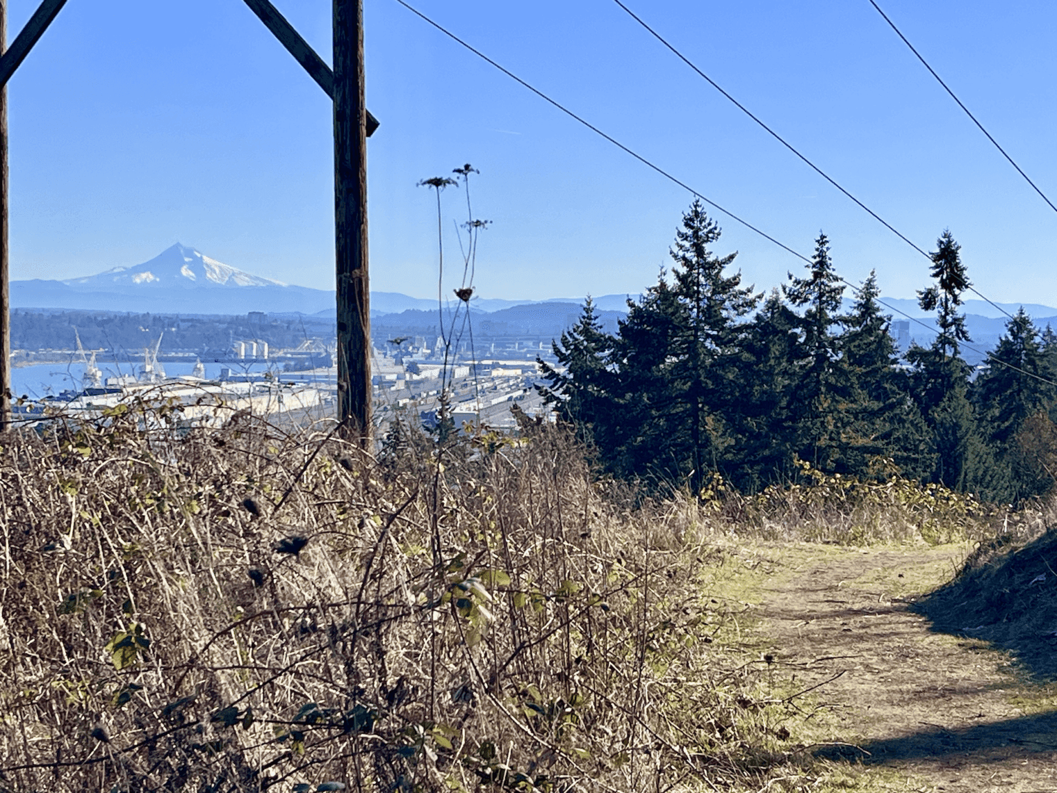 Firelane Trail Trial