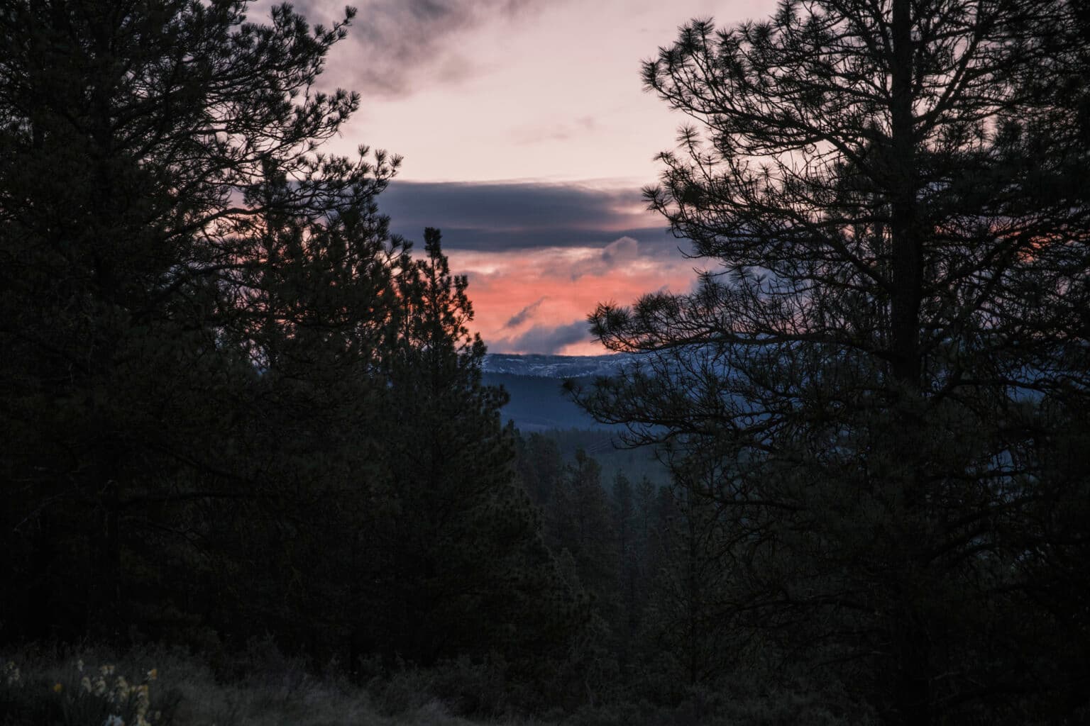 Twilight 12HR