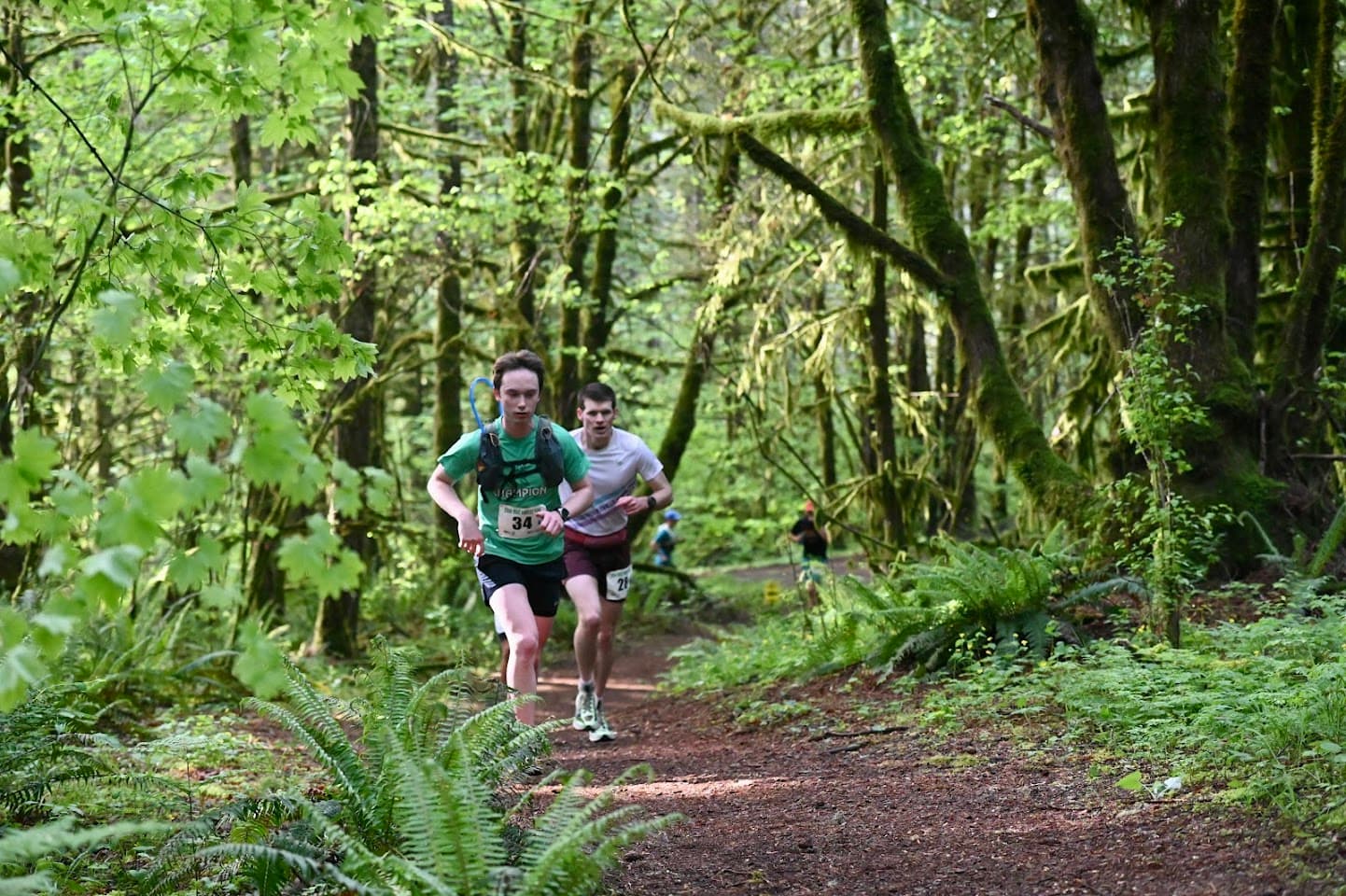 McDonald Forest 50K