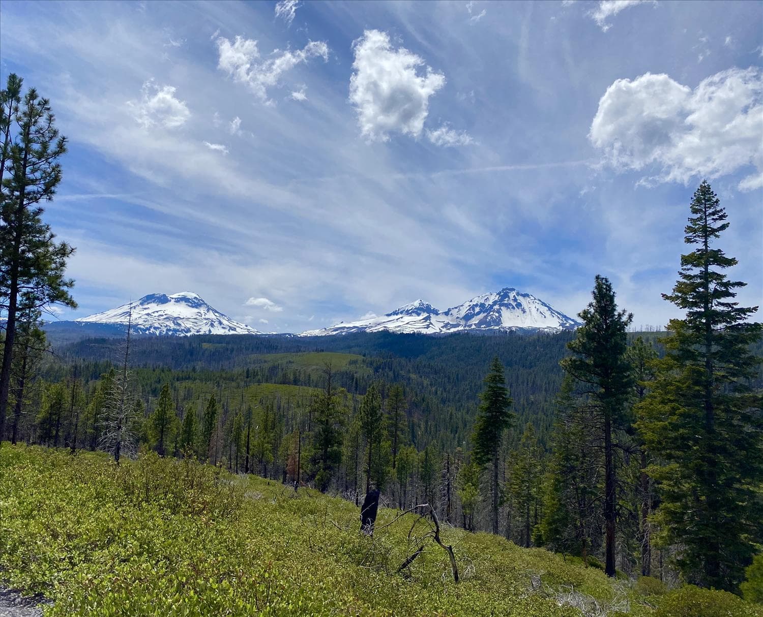 Oregon Cascades 100M