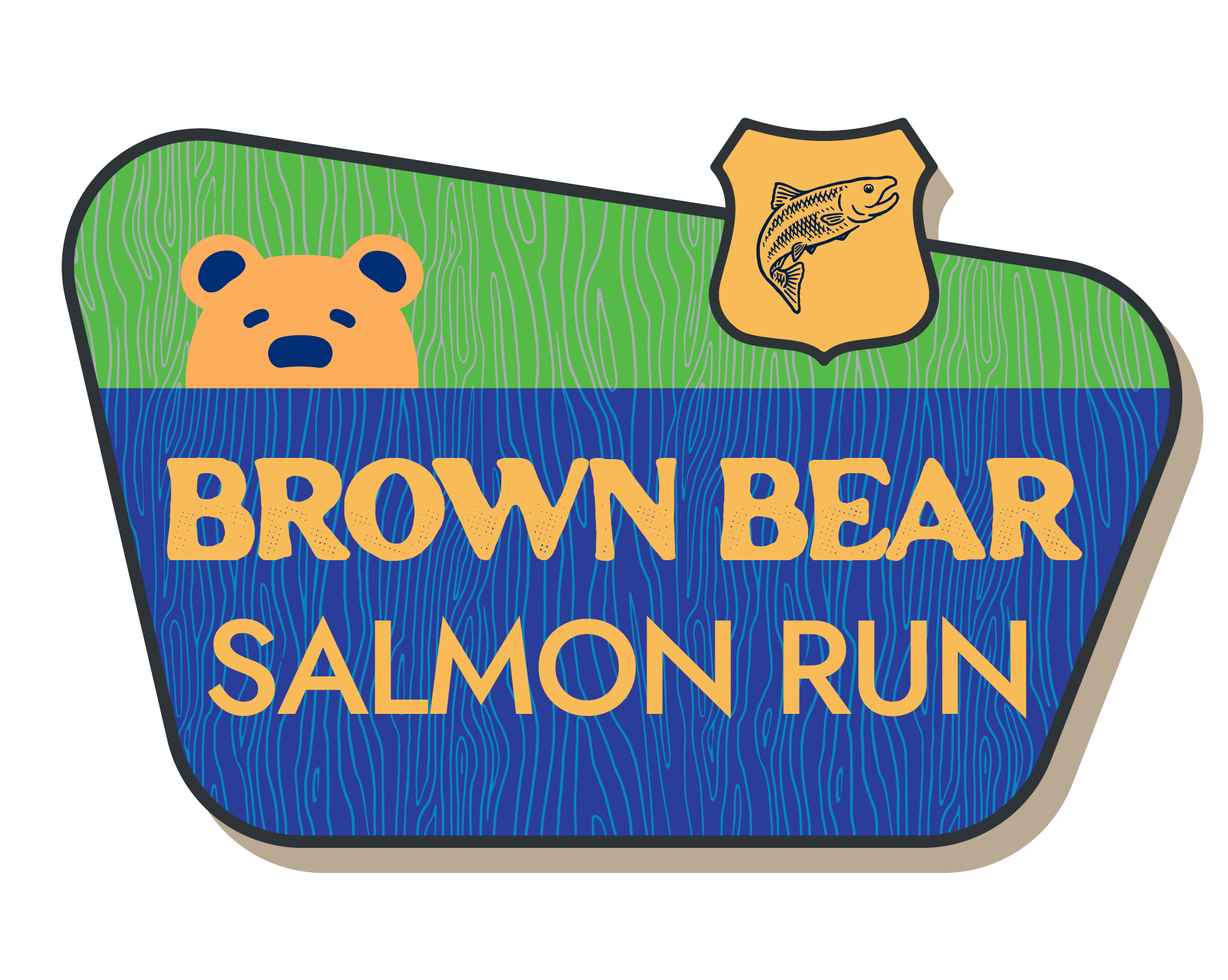 Brown Bear Salmon Run