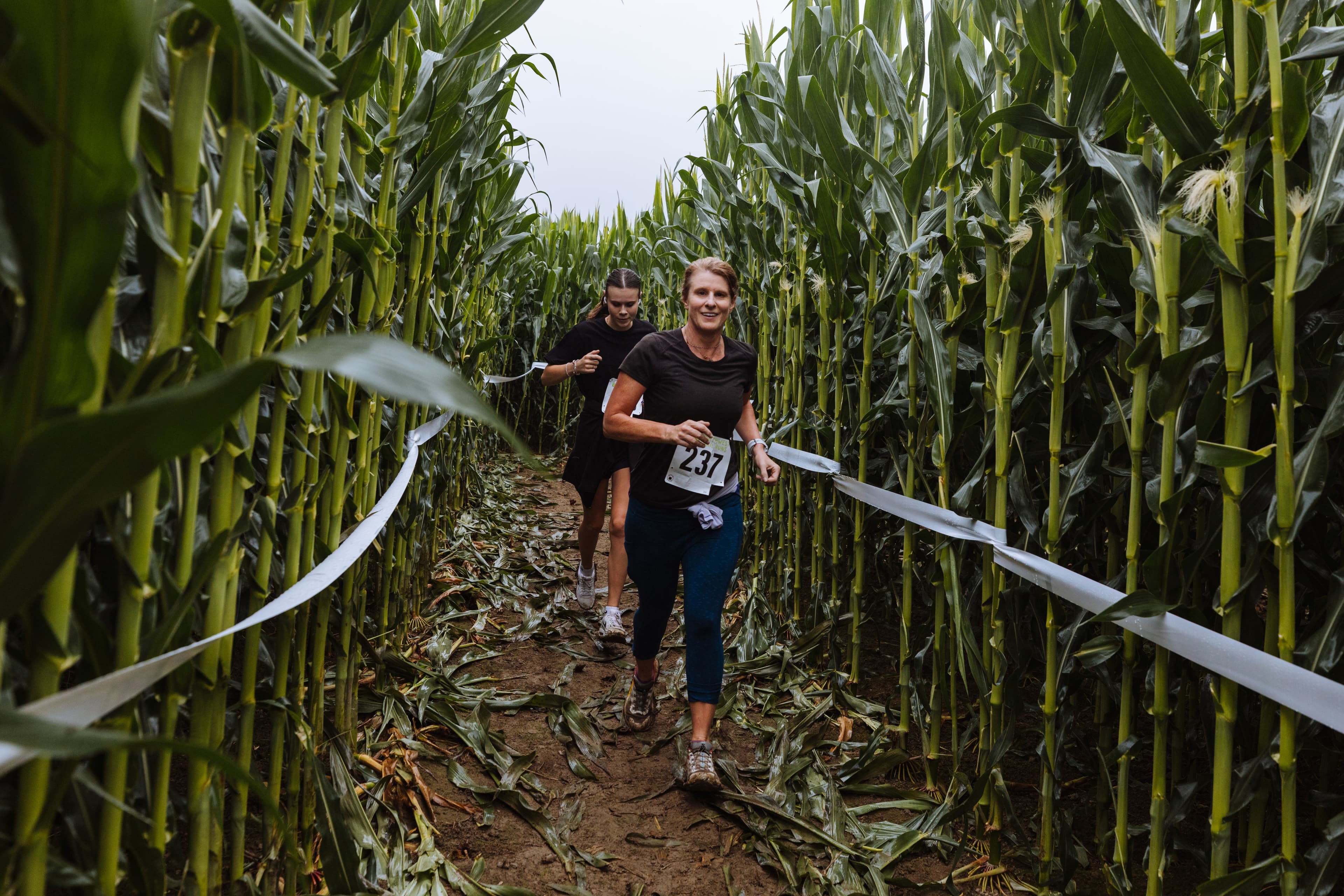 Corn Maze Craze