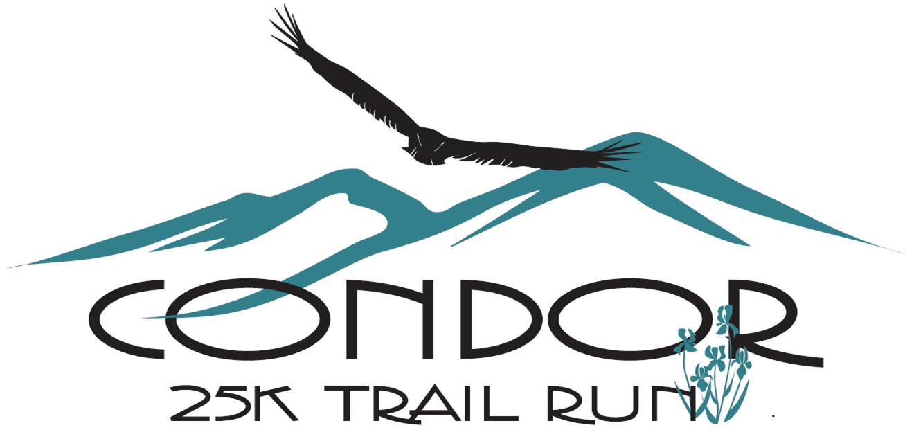 Condor 25K