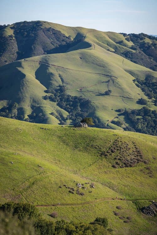 The Big Alta