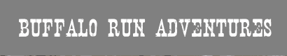 Harriman Trail Run
