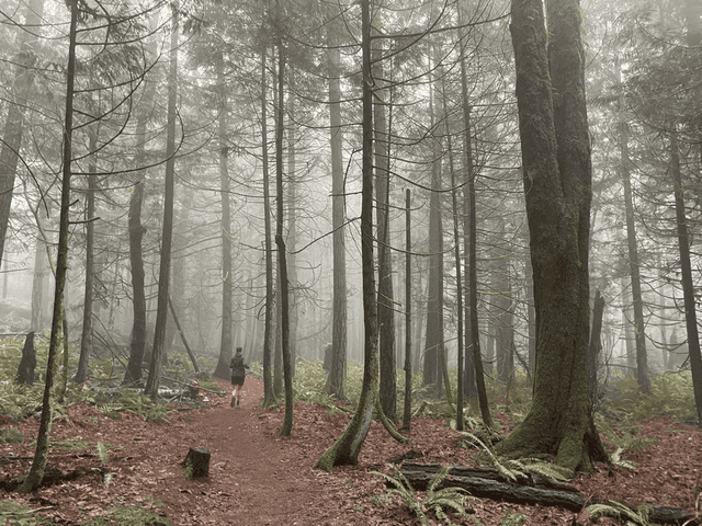 Issaquah Alps Trail Running Club